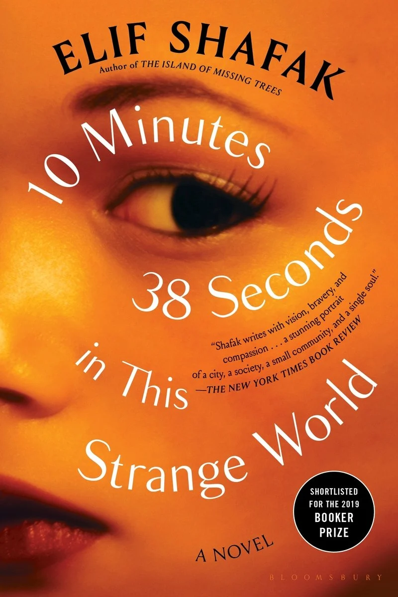 image from 10 Minutes 38 Seconds in This Strange World by Elif Shafak