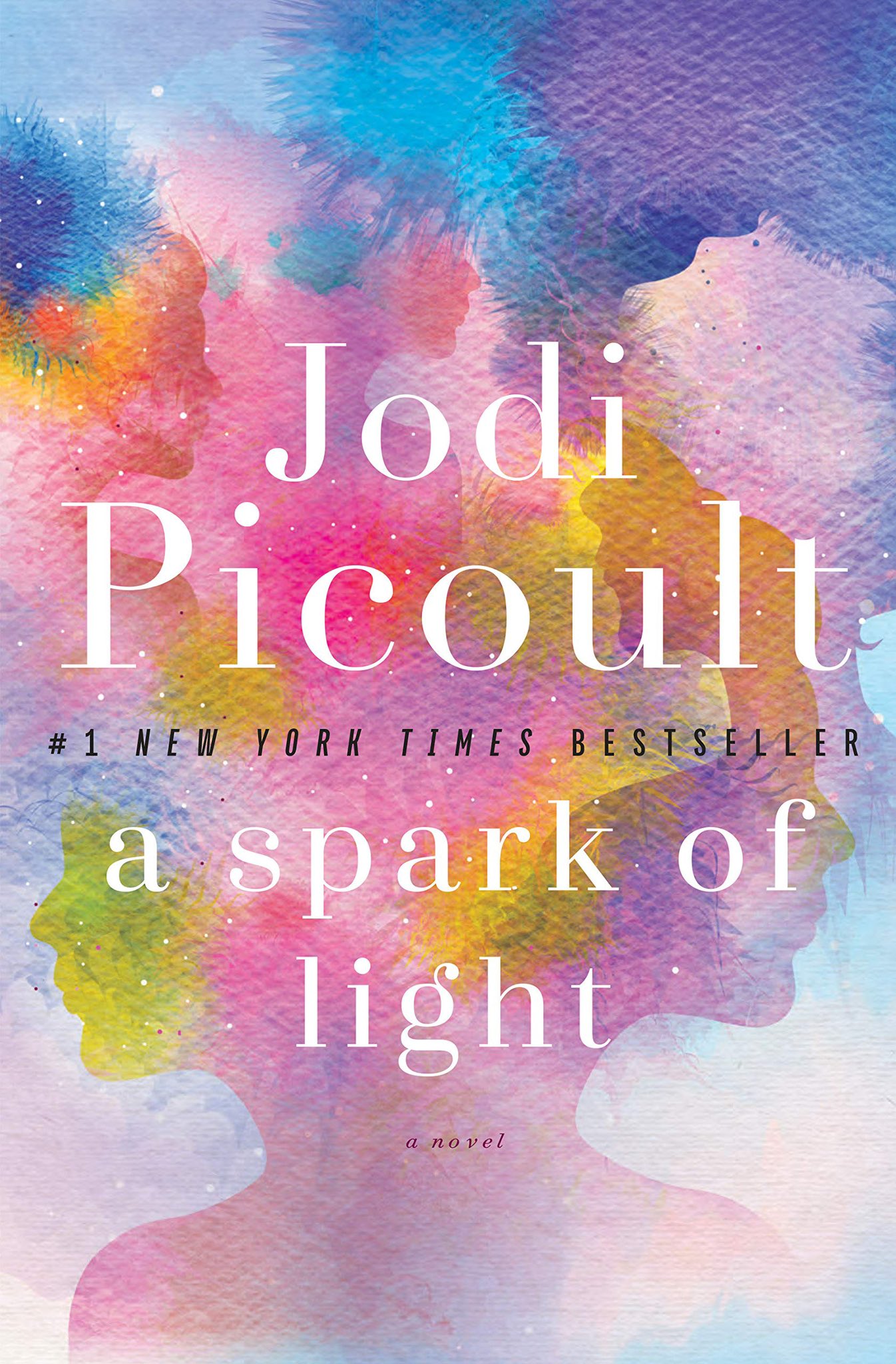 image from A Spark of Light by Jodi Picoult