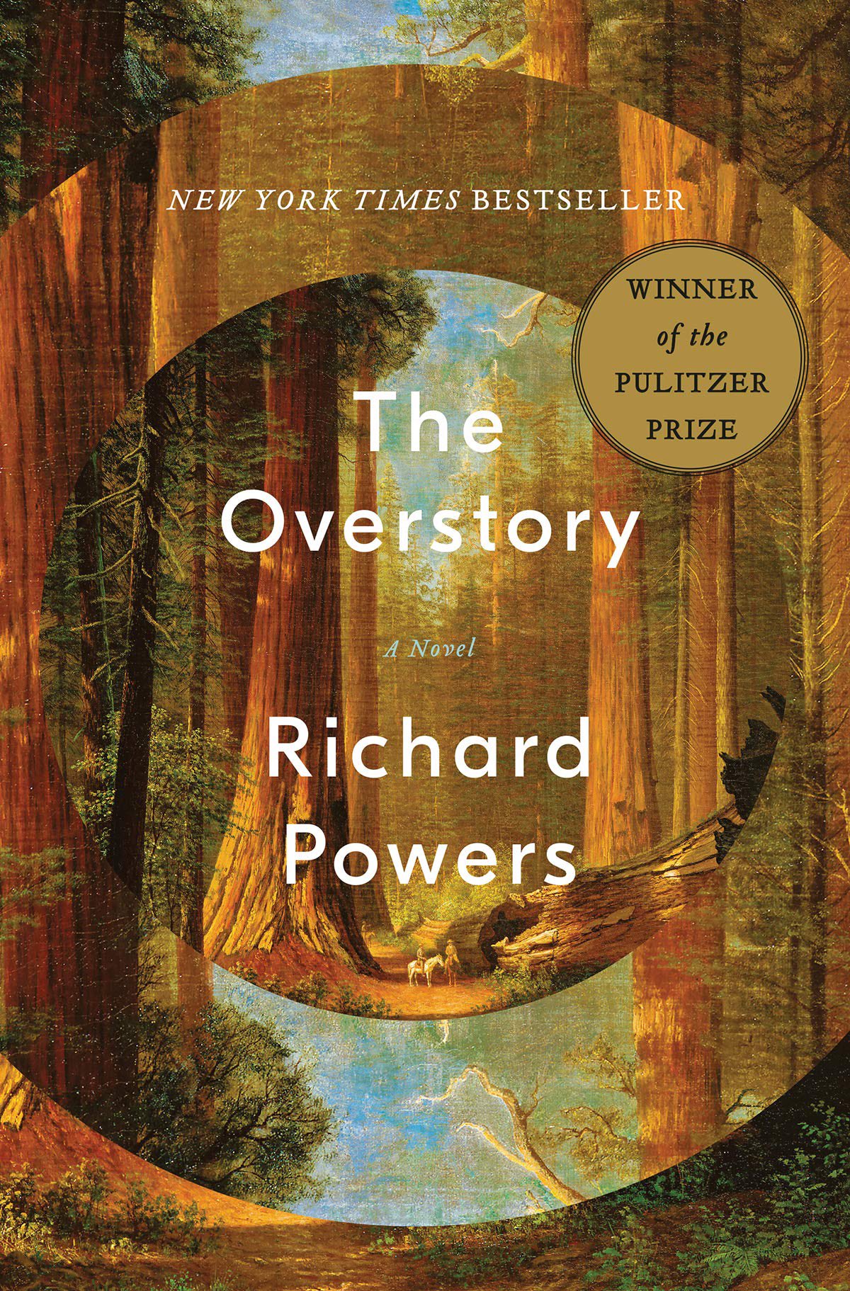 image from The Overstory by Richard Powers