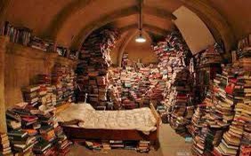 image from bibliotaph. noun. a person who hides away or hoards books